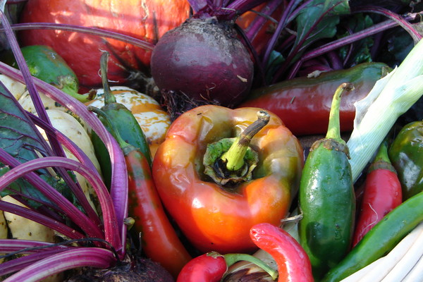 Harvest Basket