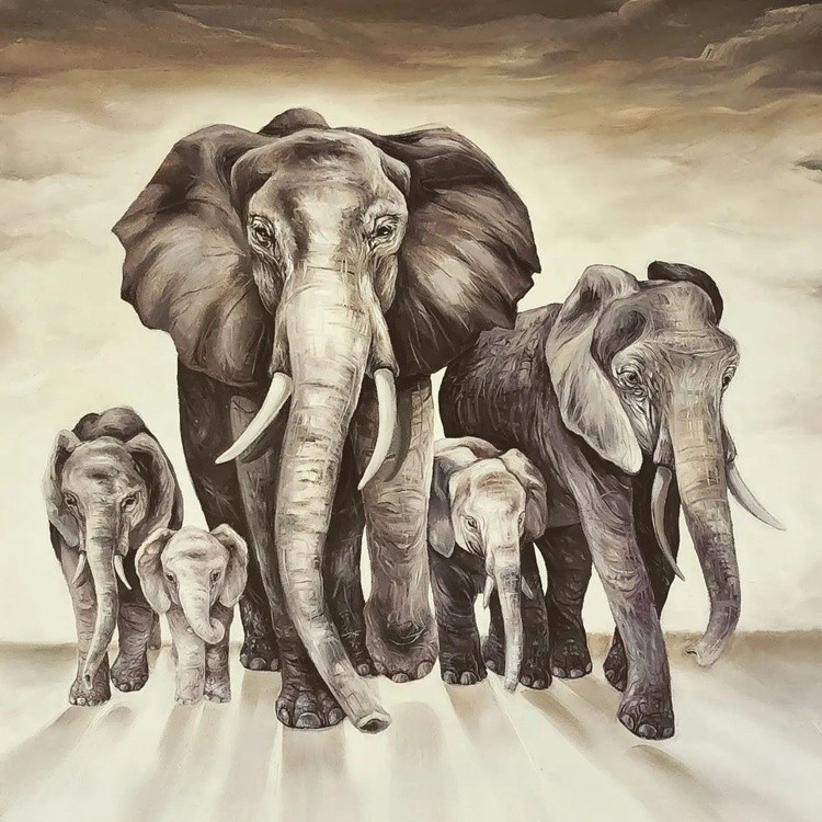Elephant Family