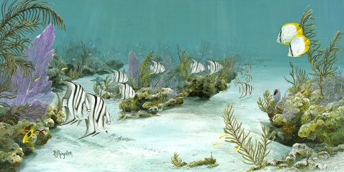 Shark Harbor