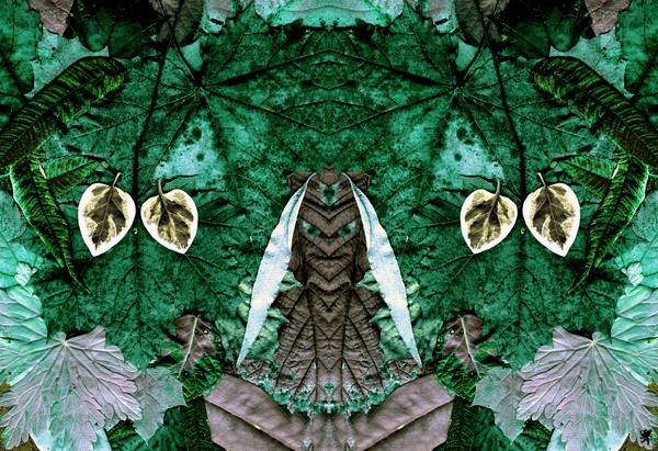 FOREST FAITH HEALER