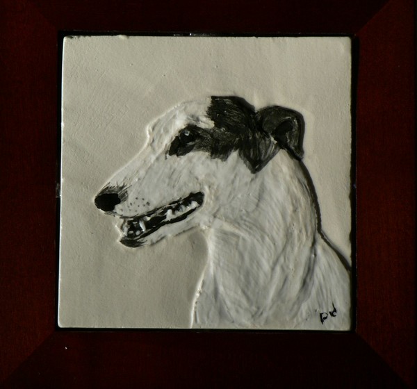 Greyhound Sabra