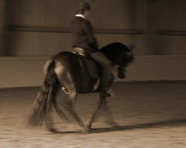 ...and we danced (danceing with Lucy)