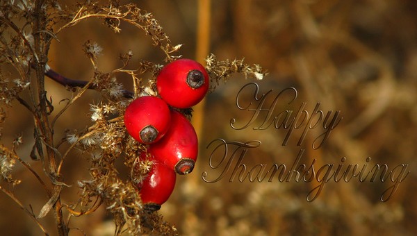 Happy Thanksgiving