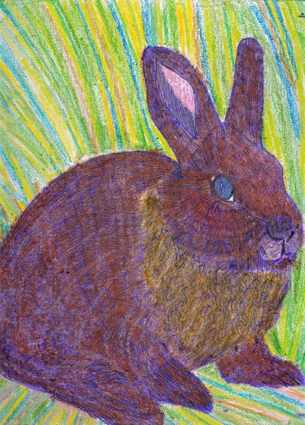 rabbit5
