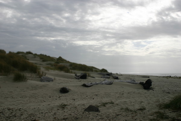 South Jetty Dunes Beach, Oregon