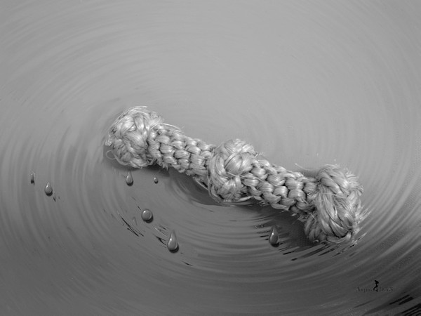 Knot