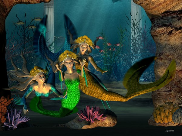 A Mermaids Tail