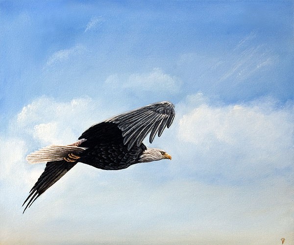 Eagle's Flight
