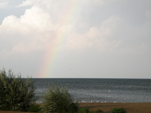 After the Storm