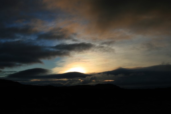 Morning Sun