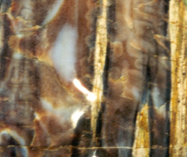 Abstract No 1