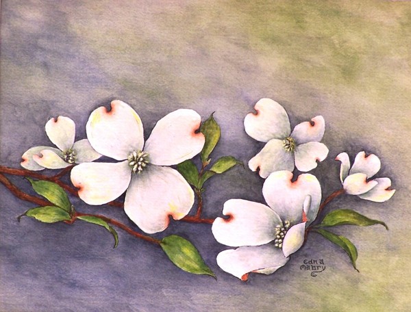 Dogwood Spray