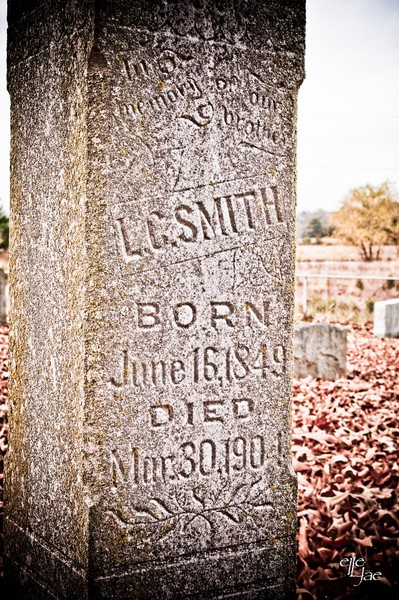 Cemetery #6