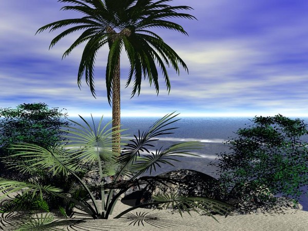 Tropical Little Island