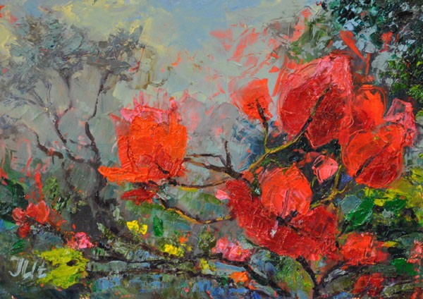 Bougainvillea - 2.