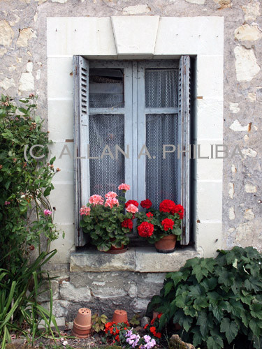 Window 1