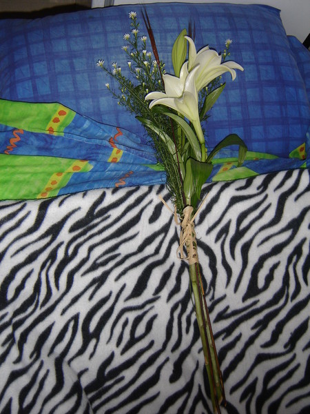 More Flowers for Algernon