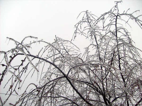 ICY