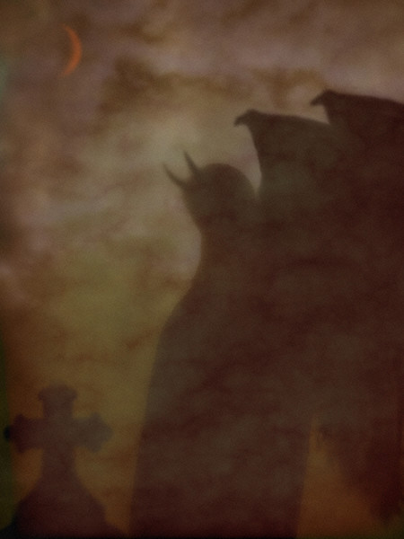 Shadow