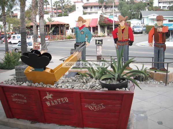The Cowboy Project