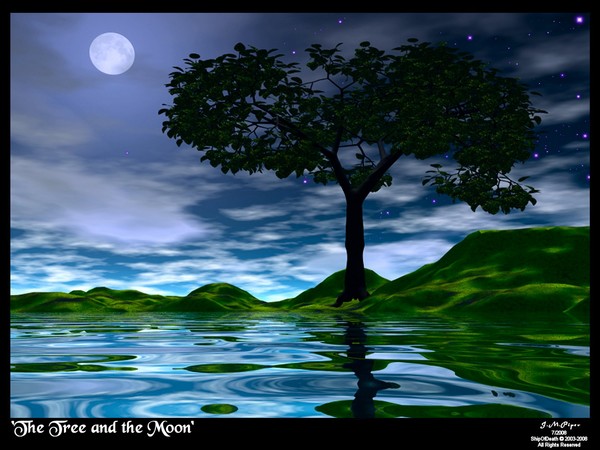The Moon and the Tree