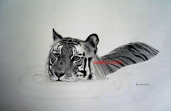 .........Troubled Water