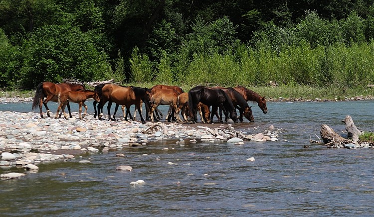 ford. belaya river