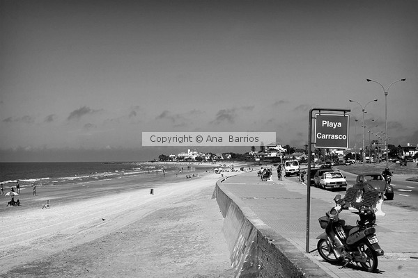 Playa Carrasco