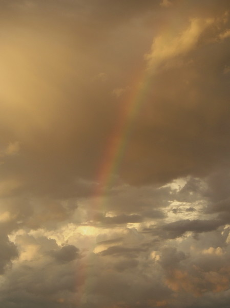 Monsoon Rainbow