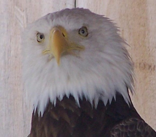 You Lookin' At Me