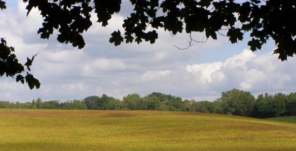A View from Here