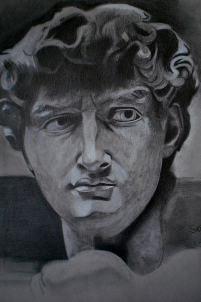 Statue of David Portrait