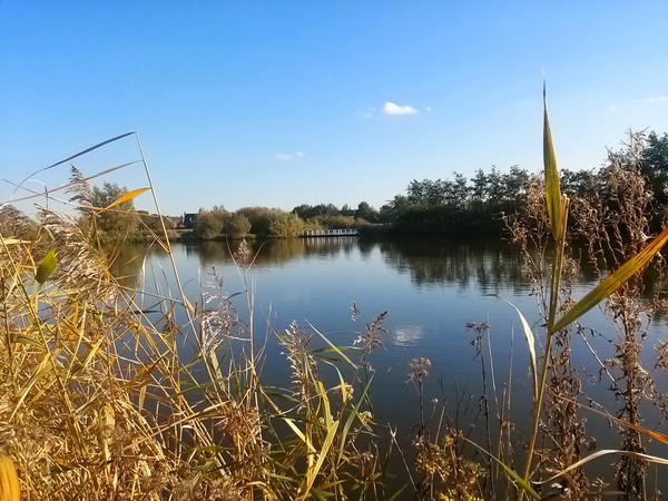 Little Lake