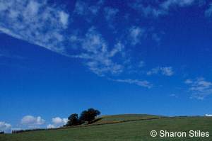 English Landscape