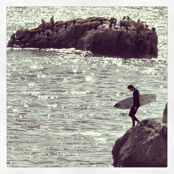 surfer and seal rock