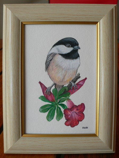 chickadee