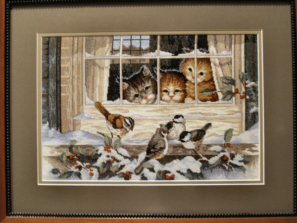 Kittens in the window