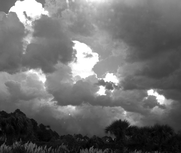 Cloudy Day