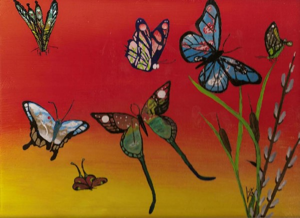 Butterflies