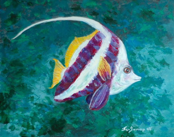 SE Asian Bannerfish 