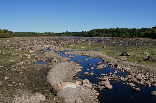 Drought Condition