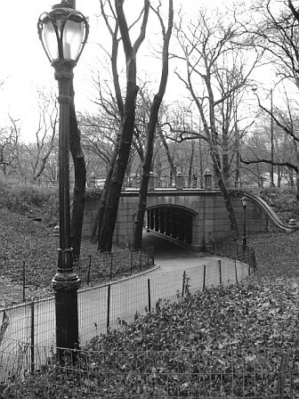 Central Park after Spring Rain