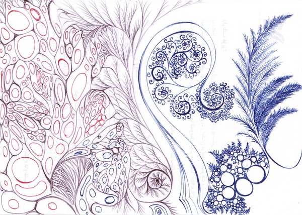 cells-fractal-vegetables