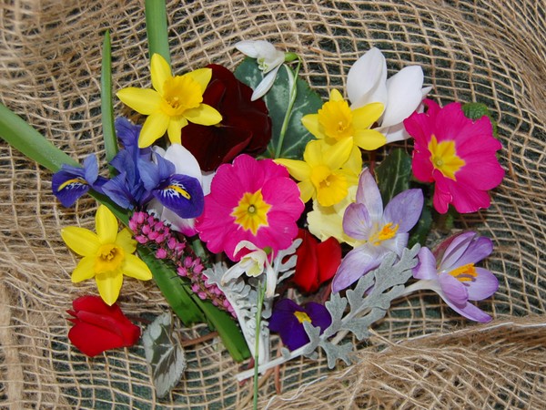 Spring Collection