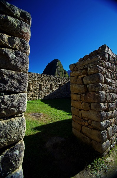 IMGP2779