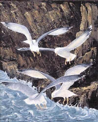 Circle of Gulls