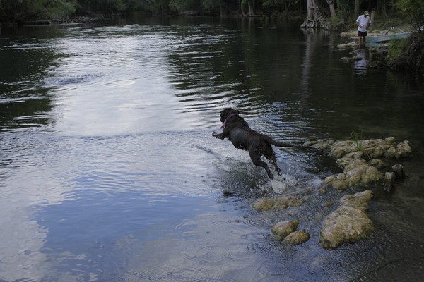FETCH!!
