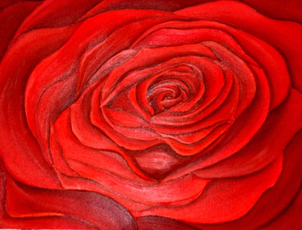 Red Rose