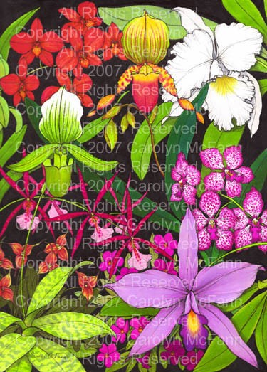 Plants at the Orchid Show