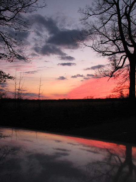 Illusive Reflection